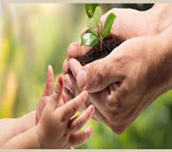 TRANSMISSION OF SHARES